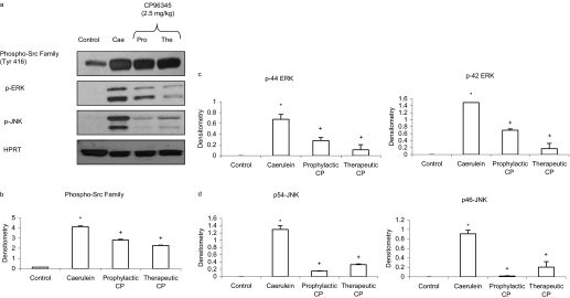 Fig. 9.