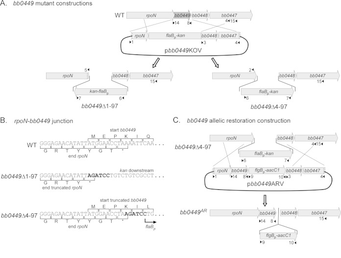 FIG 1