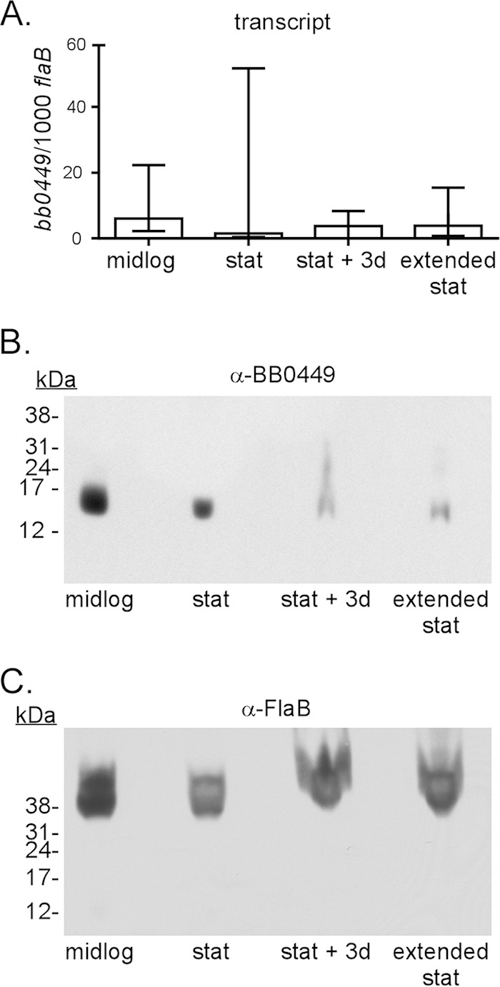 FIG 3