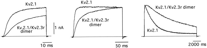 Fig. 8.