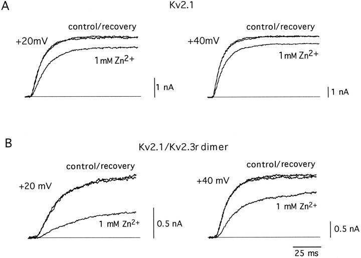 Fig. 9.