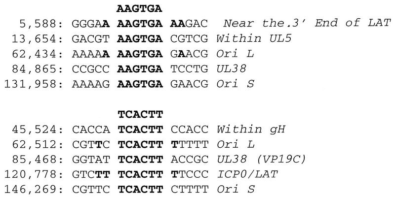 FIG. 7