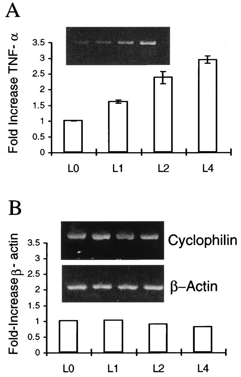 FIG. 8