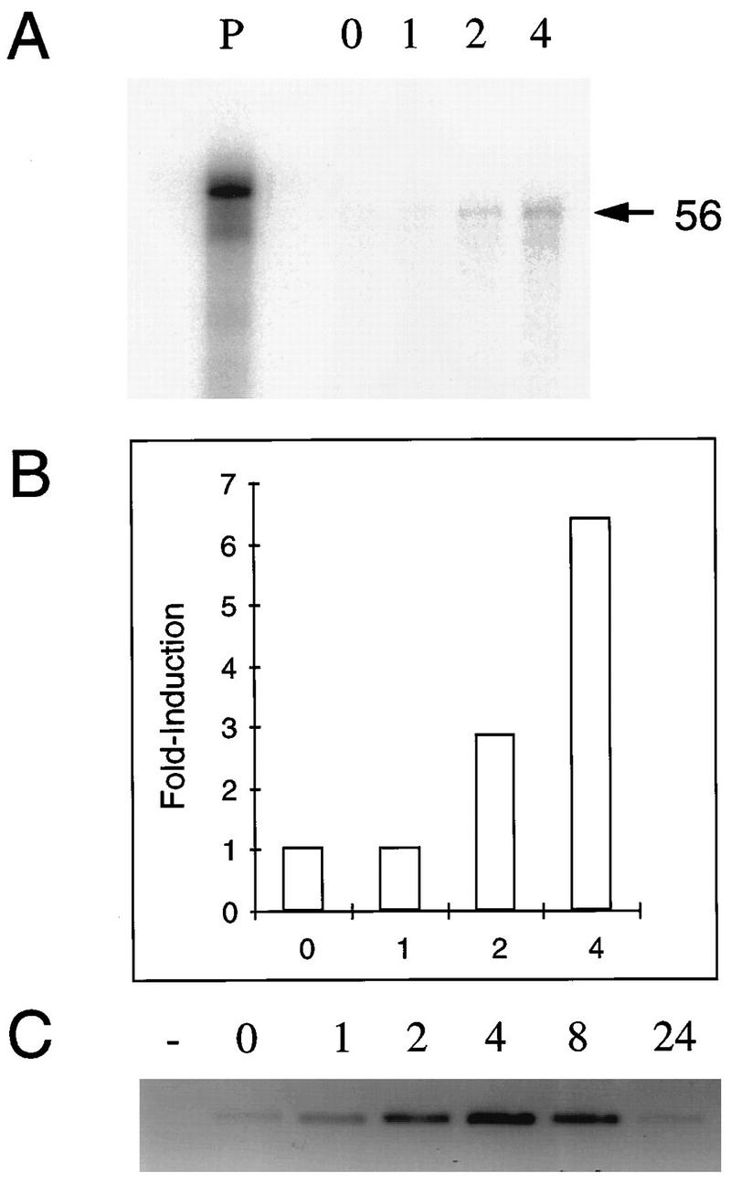 FIG. 3