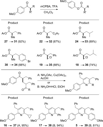 Scheme 5