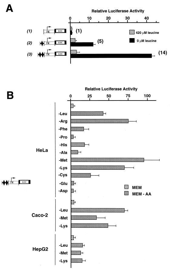 FIG. 3