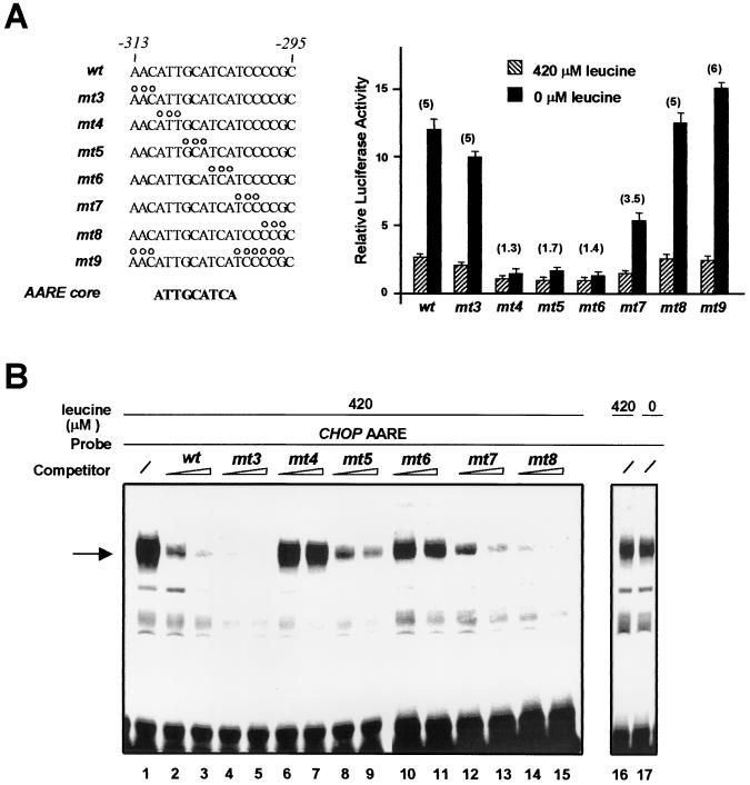 FIG. 4