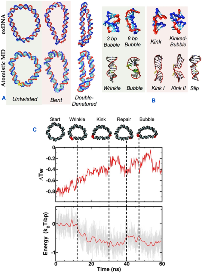 Figure 3.