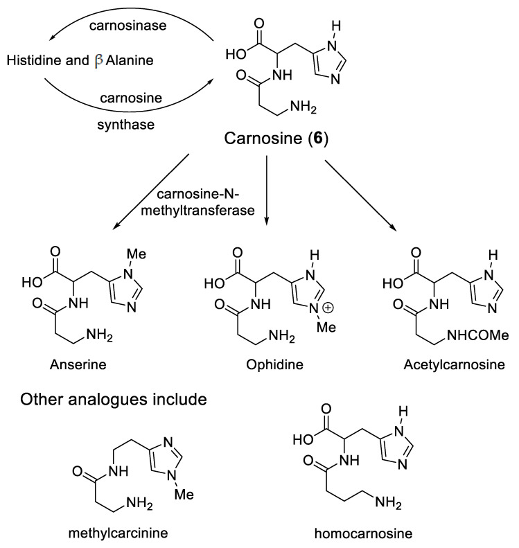 Scheme 3