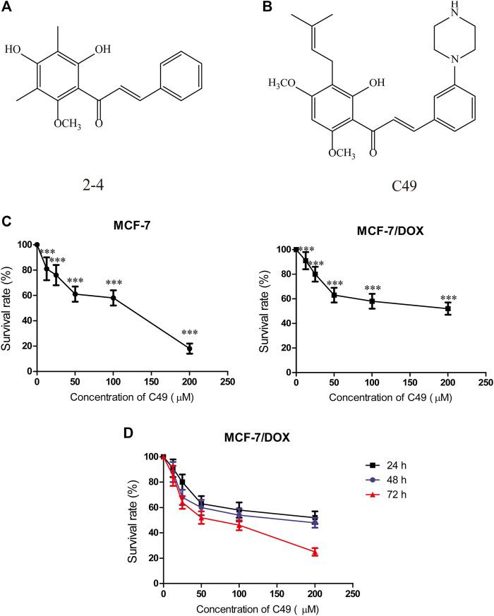 FIGURE 1