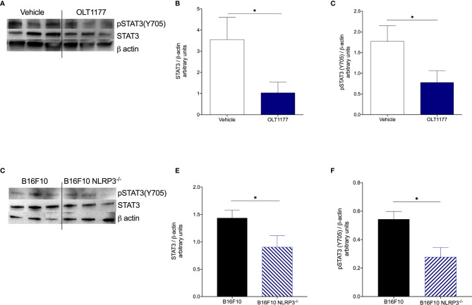 Figure 3