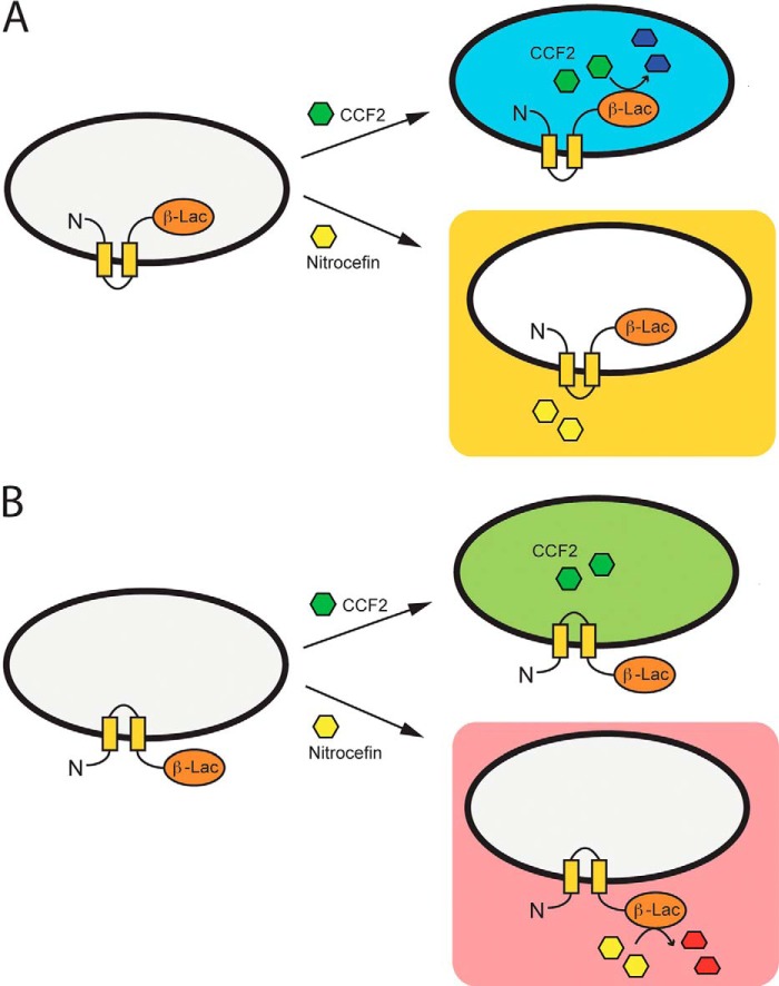 FIGURE 3.