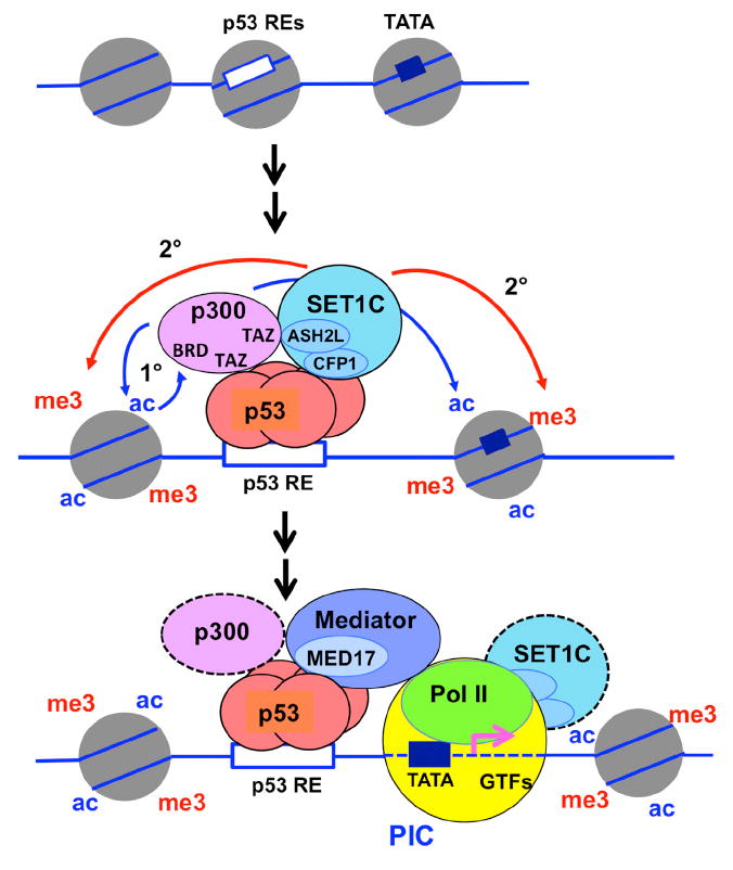 Figure 7