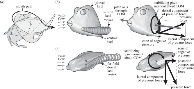 Figure 1.