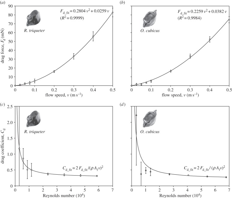 Figure 4.