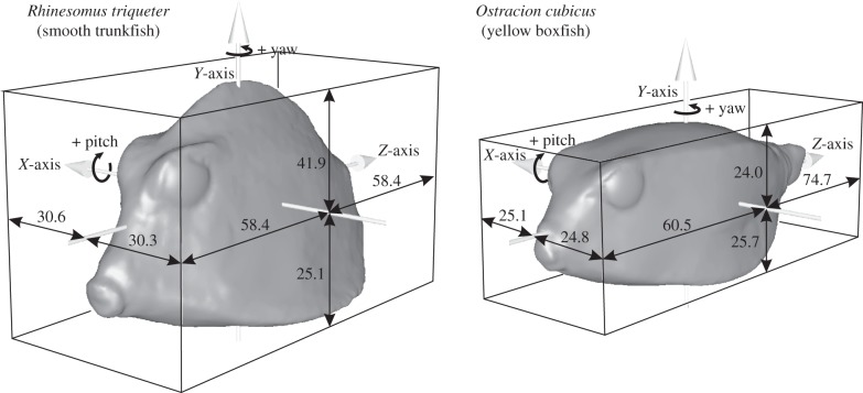 Figure 2.