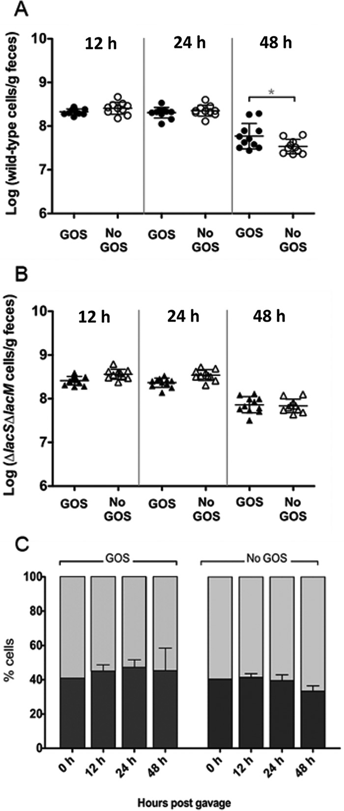 FIG 6