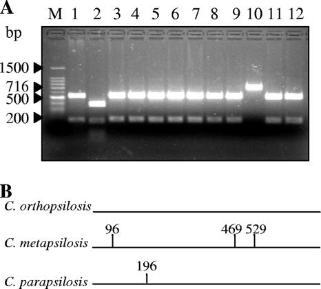 FIG. 1.