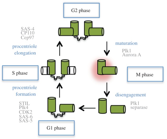 Figure 2.