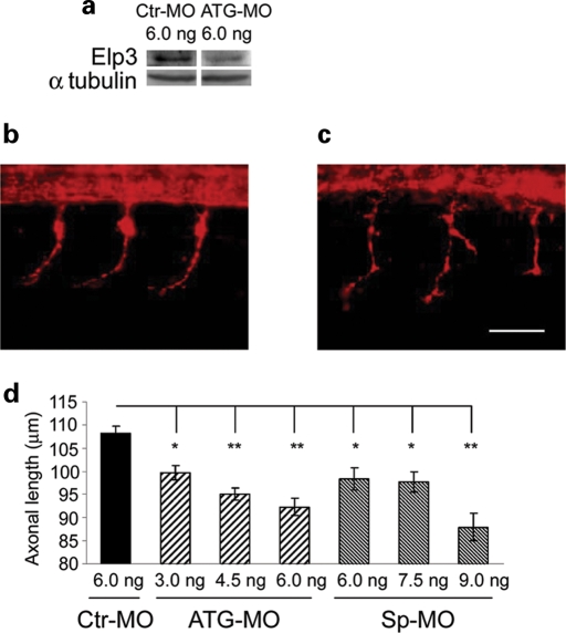 Figure 4.