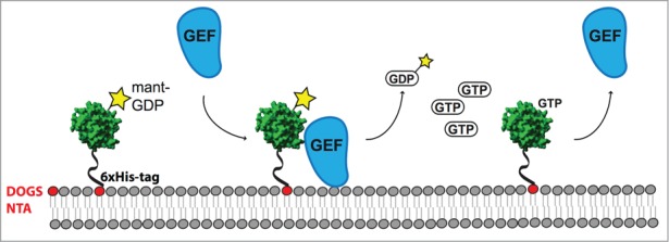 Figure 3.