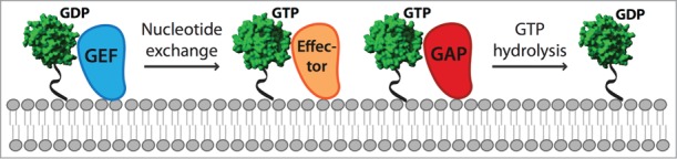 Figure 1.