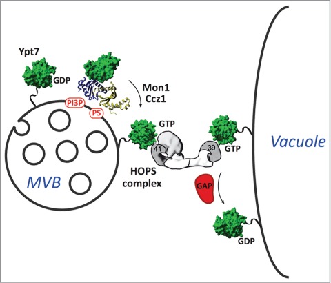 Figure 2.