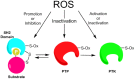 Fig. 5