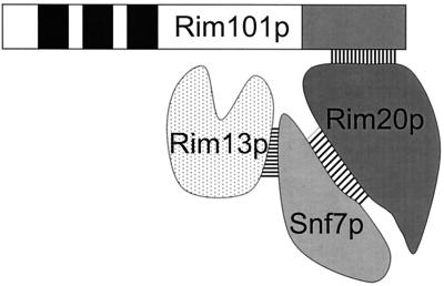 FIG. 6