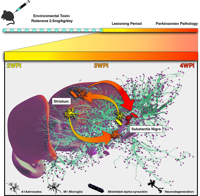 graphic file with name nihms-1787014-f0009.jpg