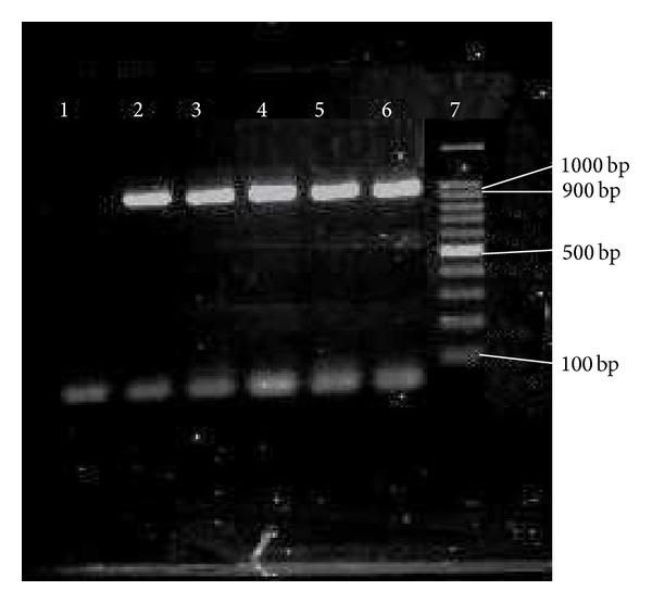 Figure 9