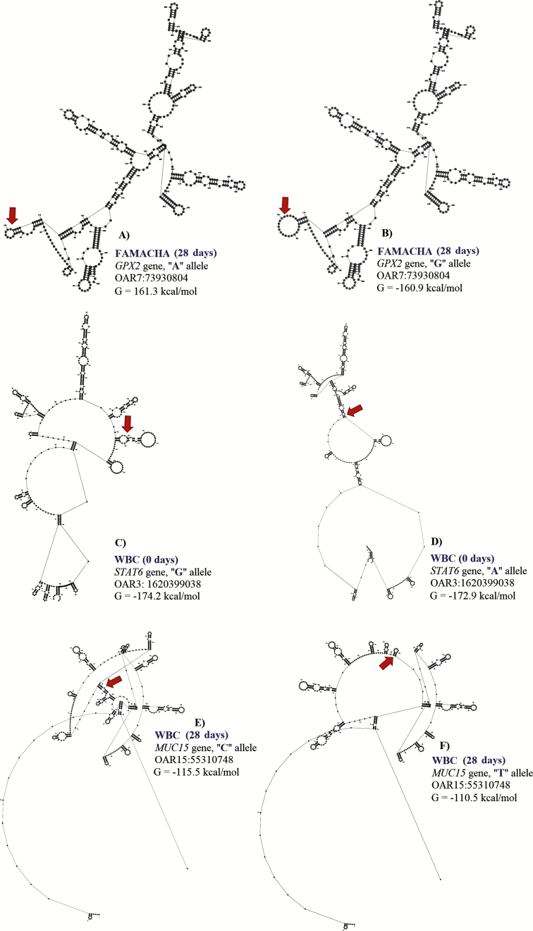 Figure 3.