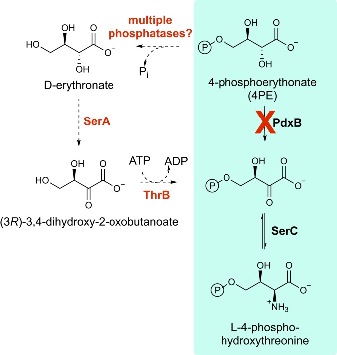 Fig. 7.