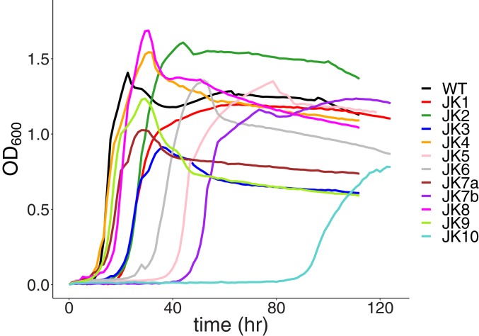 Fig. 3.