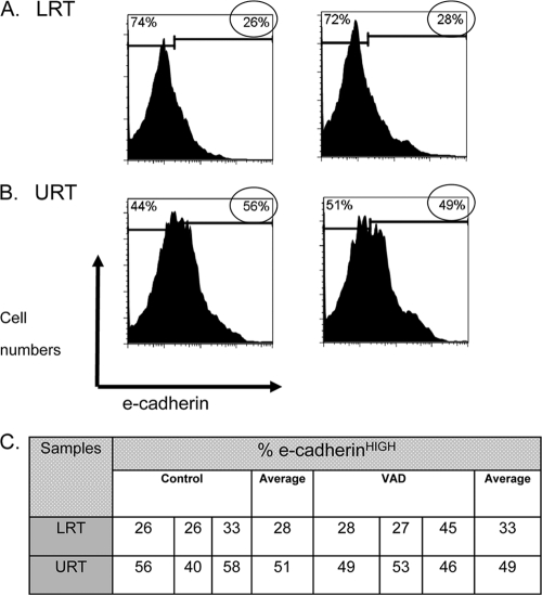 Fig 8