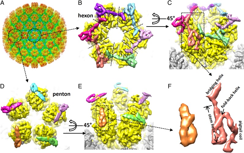 Fig. 1.