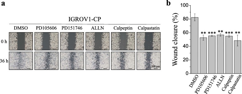 Fig. 8