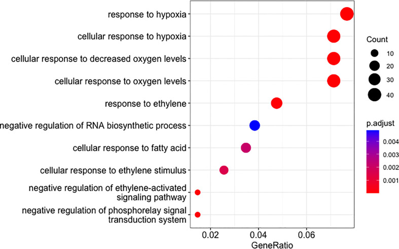 Figure 5