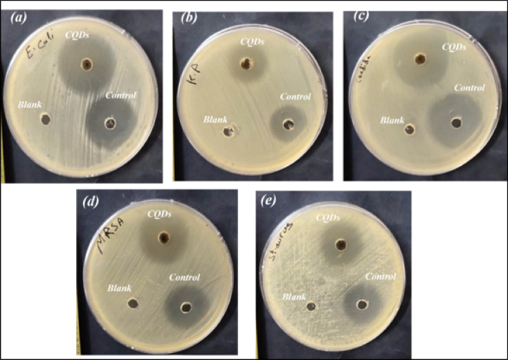 Fig. 11