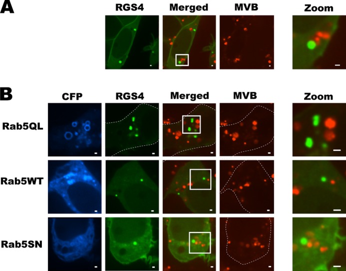 FIGURE 4.