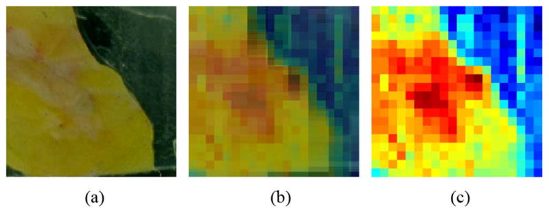 Fig. 12