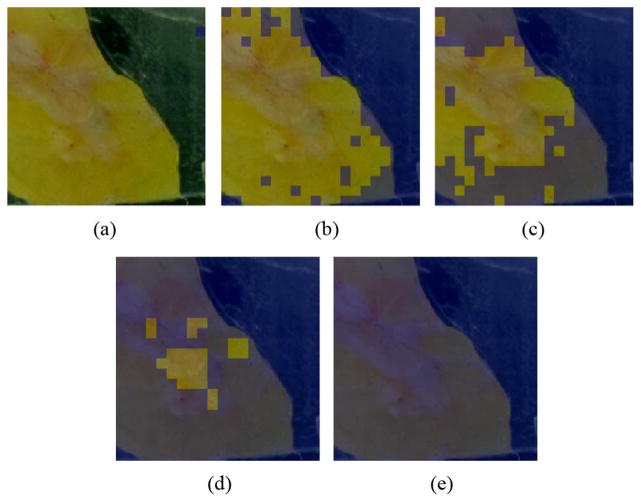 Fig. 17