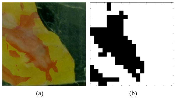 Fig. 16