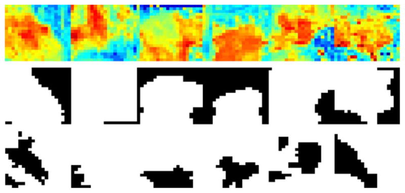 Fig. 19