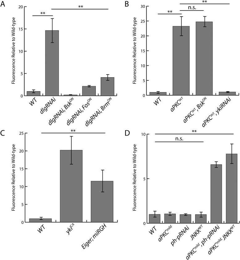 Figure 4—figure supplement 2.