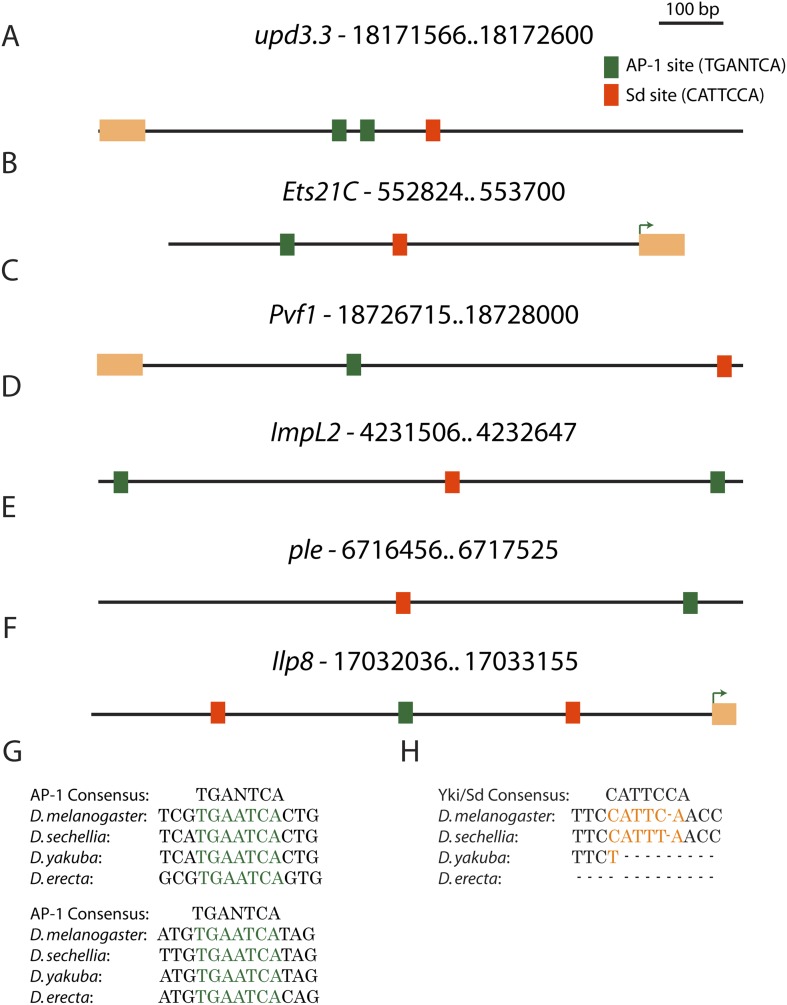 Figure 3—figure supplement 2.