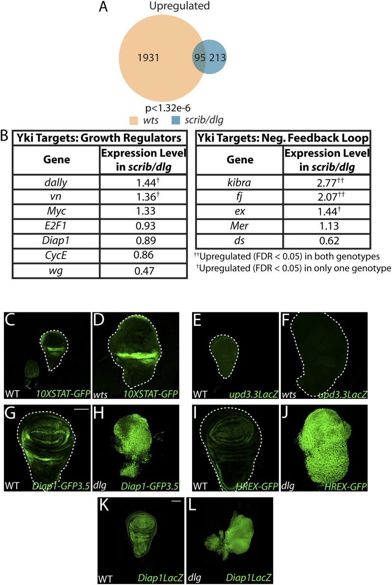 Figure 5—figure supplement 2.