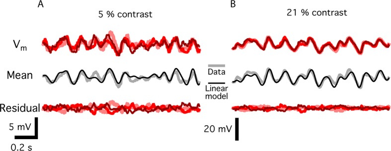 Figure 7—figure supplement 1.