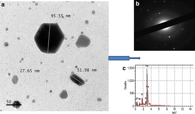 Fig. 4