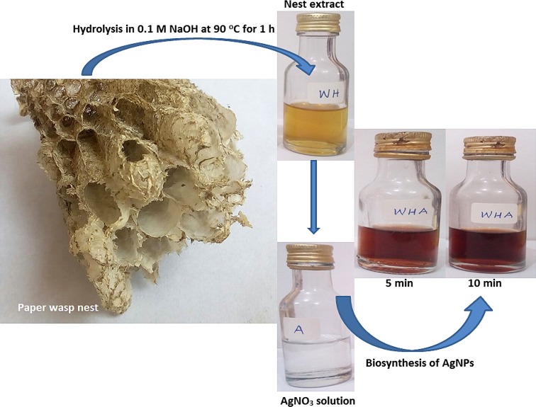 Fig. 1